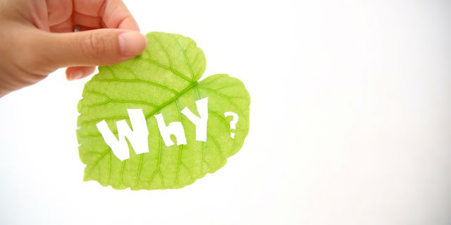空腹だけじゃない!お腹が鳴る3つの原因と緊急の止め方とは?