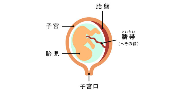 プロスタグランジンの図