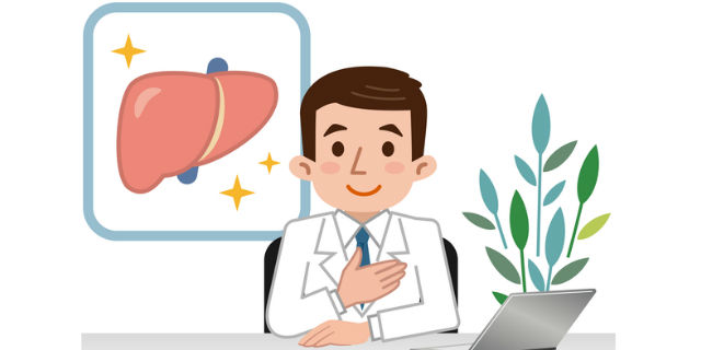 7割切り取っても再生可能!? 身近なスゴイ臓器「肝臓」をもっと知ろう