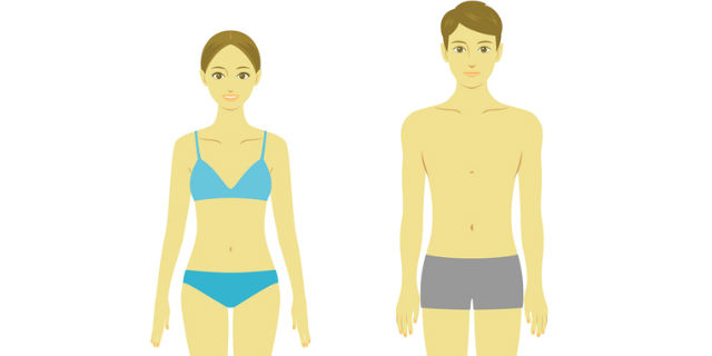 ”男女の体の違い”