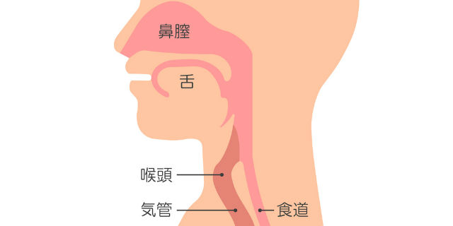 気管