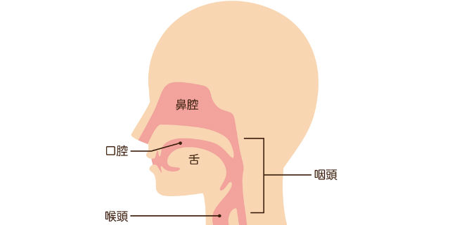 口腔内
