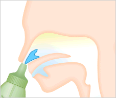 ハナノア「シャワータイプ」は、鼻から入れて鼻から出すため、鼻の奥まで洗えます。　イメージ図