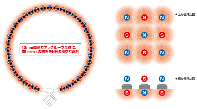 コラントッテ独自のN極S極交互配列 イメージ図