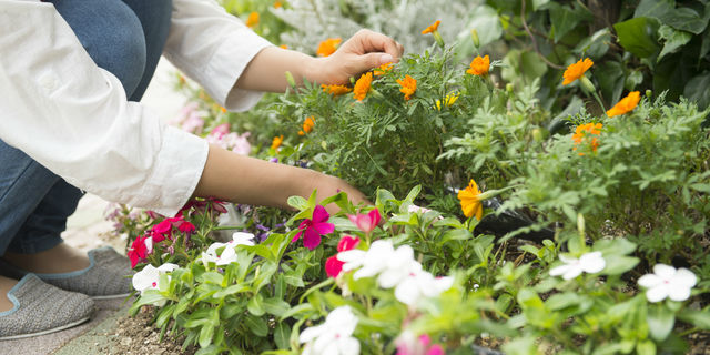 趣味に没頭すると驚きの健康効果が! 医師が教えるおすすめ趣味ランキング