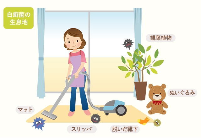 白癬菌の生息地の図